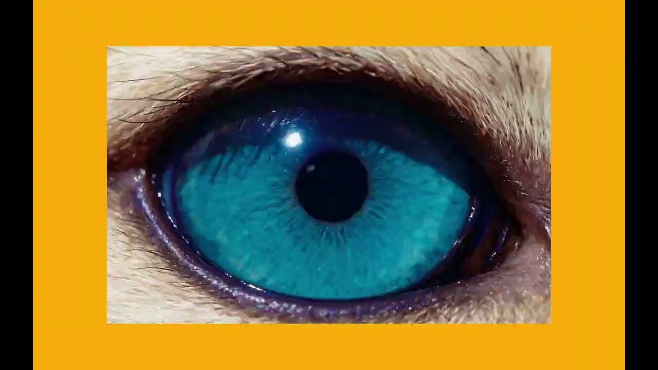 Placeholder still for How does it feel to truly be seen?, taken from the video.